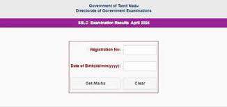 Tamil Nadu Board Results 2025